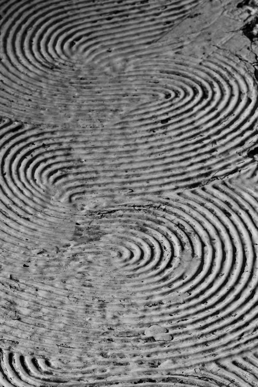 close up photo of texture surface